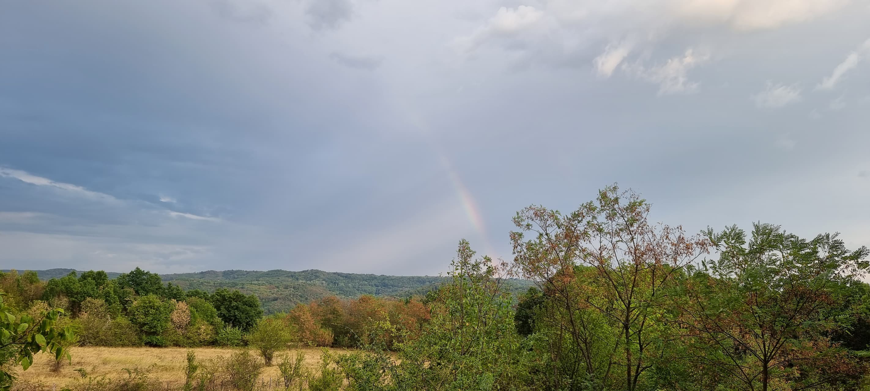 Tiny Alpha - Peisaj de toamnă